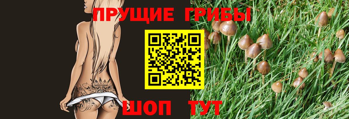 Псилоцибиновые грибы мицелий Краснокаменск