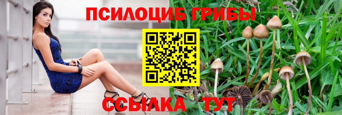 Псилоцибиновые грибы мухоморы  Вход с VPN  Краснокаменск 